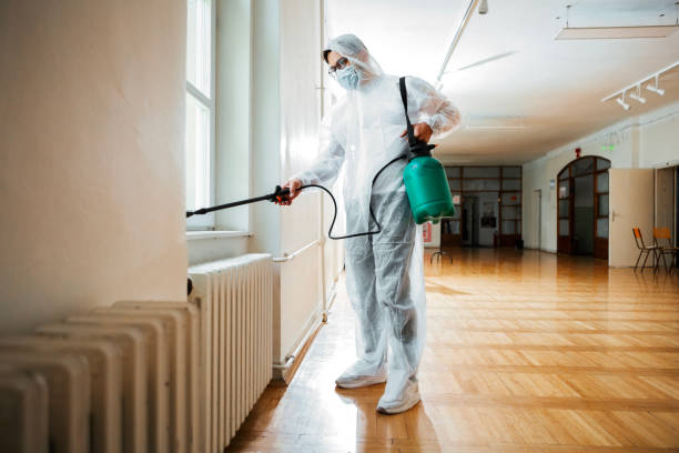 Best Flea Control Services  in Largo, FL